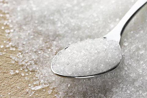 Sugar