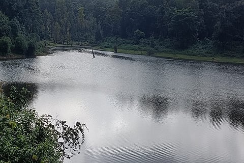vaddaramaadu