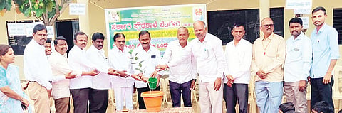 Sundarlal Bahuguna Green Force