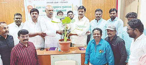 03 gvt 01