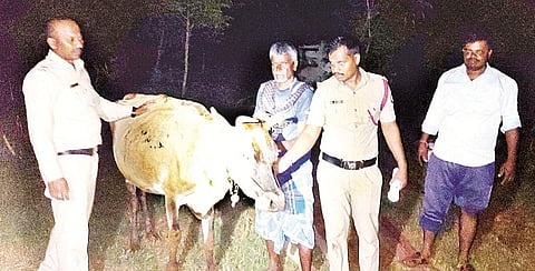 ಅಲಗುಮೂಲೆ ಗ್ರಾಮದಲ್ಲಿ ಬಾವಿಗೆ ಬಿದ್ದಿದ್ದ ಹಸುವನ್ನು ಅಗ್ನಿಶಾಮಕ ಸಿಬ್ಬಮದಿ ಮೇಲೆತ್ತಿ ರಕ್ಷಿಸಿದರು. ಮಹೇಶ್, ಚಂದ್ರೇಗೌಡ, ಬಸವರಾಜು ಇತರರು ಇದ್ದರು. 