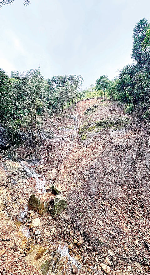 ಪಾಲಂಗಾಲ ಅರಣ್ಯ ಪ್ರದೇಶದಲ್ಲಿ ಭೂಕುಸಿತ