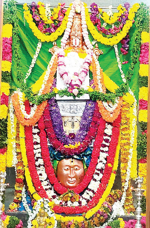 12 KAMPLI 02