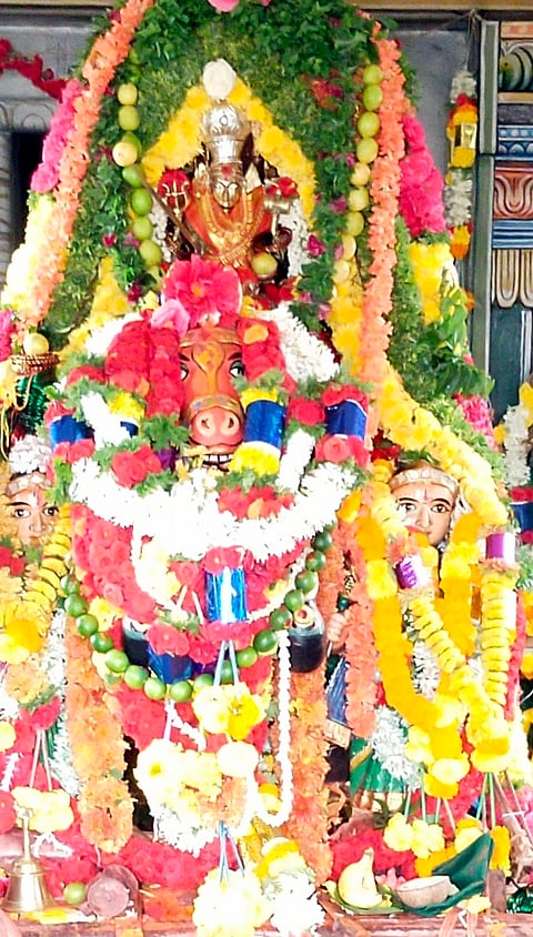 18, srinivaspur photo-5