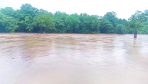 20 ylp 03 a (gangavali)