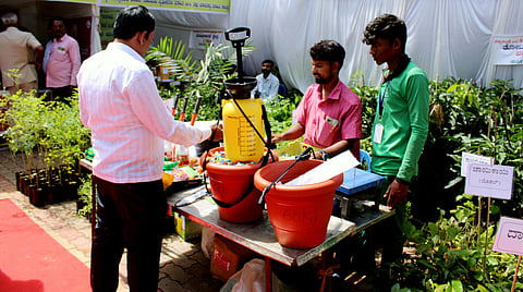 district koppal sasyasante abhiyana horticulture