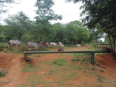 28rajesh16