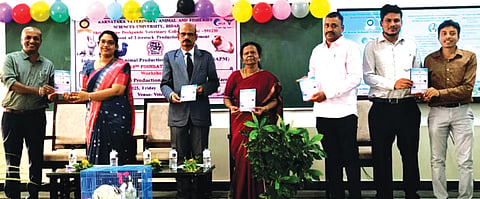 2Athanigrameen1
