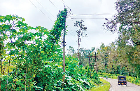 ಕತ್ತಲಲ್ಲಿ ಕಾಲದೂಡುವ ಗ್ರಾಮಸ್ಥರು