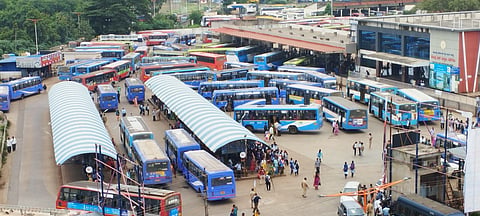 5dvk Bus Overall