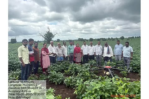 6-hbl ad agri