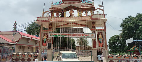 7katakol1