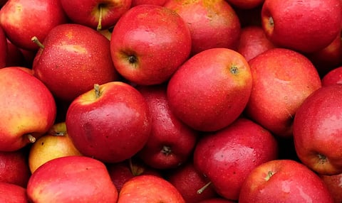 Apple