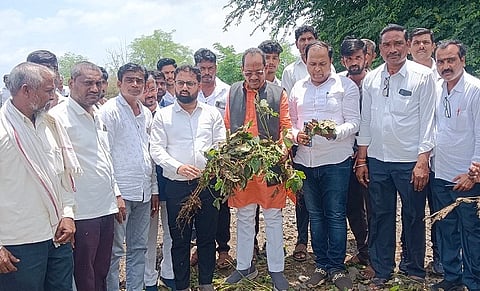 Bawalgaon