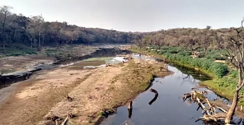 Bedti river