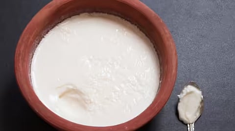 Curd