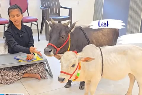 Hyderabad Family Lives In Apartment With 2 Cows