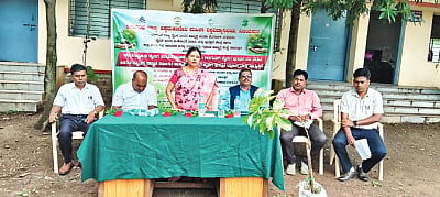 Let the students plant more saplings.