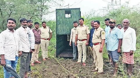 Officials' strategy to capture leopard..!