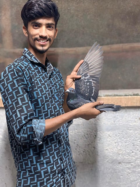 Pigeon flies from Delhi to Mandya for 52 days Mandya