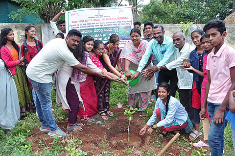 Plantation program Mandya