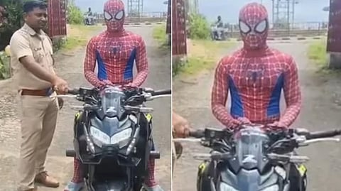 Spider man