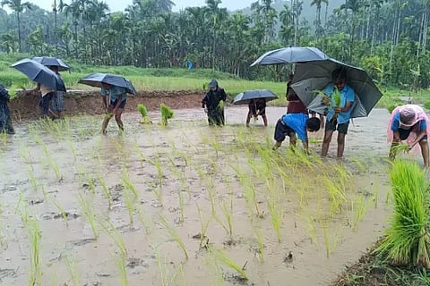 Students Agri Activity in siddapura
