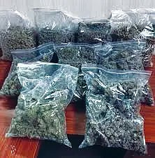 The more you catch, the more marijuana you'll get.