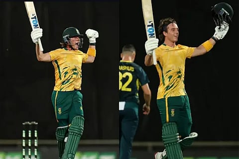 Dewald Brevis