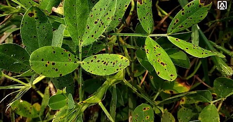 agri dept pho-1