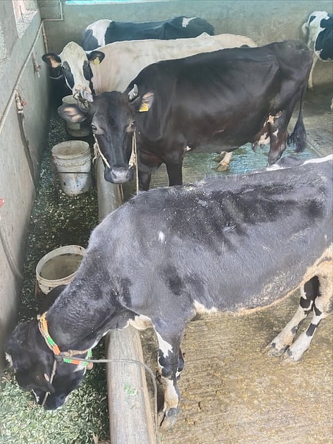 agri