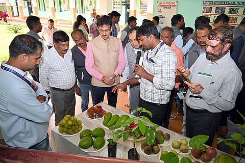 chettalli