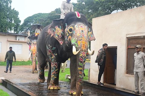 dasara