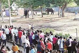 mysore