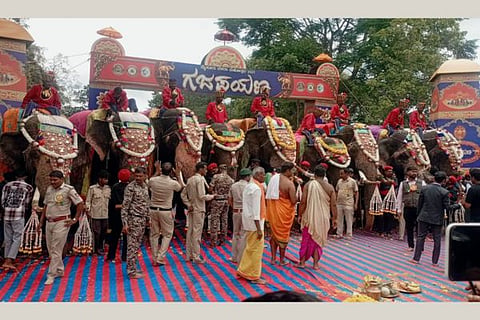 dasara