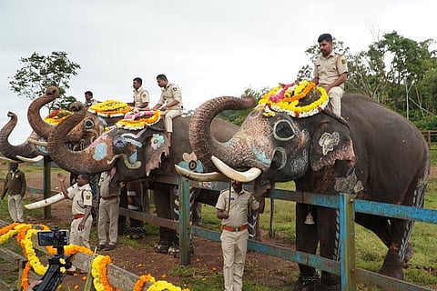 elephant day