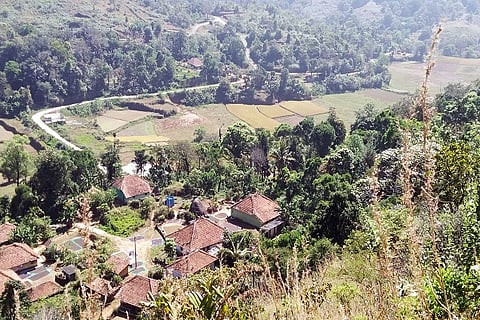 farmer