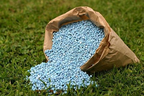 gobbara