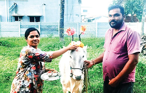 ಹಿರೀಸಾವೆ ಹೋಬಳಿಯ ಉಳ್ಳಾವಳ್ಳಿ ಗ್ರಾಮದಲ್ಲಿ ಕಾರಬ್ಬದ ಪ್ರಯುಕ್ತ ಜಾನುವಾರುಗಳಿಗೆ ವಿಶೇಷವಾಗಿ ಪೂಜೆ ಸಲ್ಲಿಸಲಾಯಿತು.