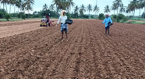 klr sowing
