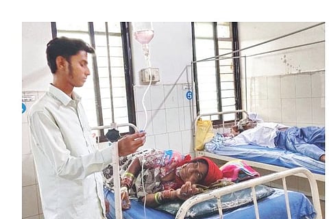 mdl Dengue