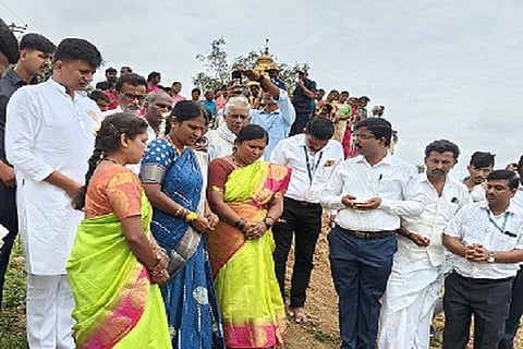 mla....2
