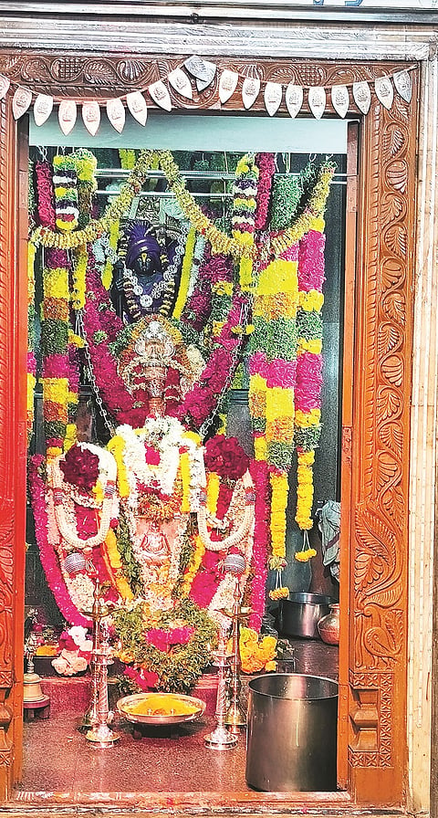 mysore