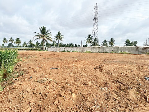 nele