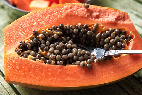 Papaya Seeds Benefits