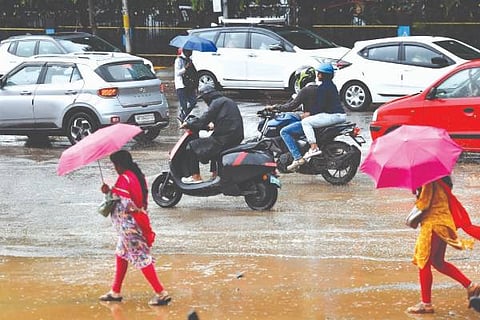 rain (3)