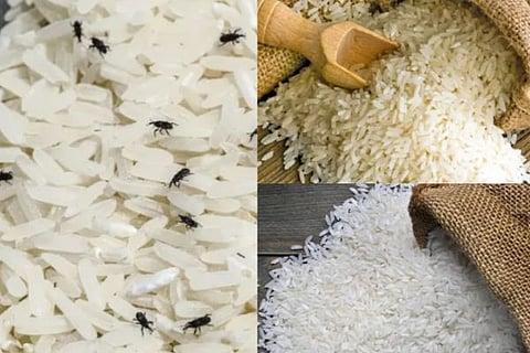 rice