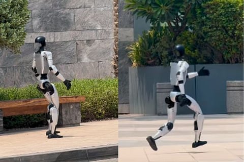 robot