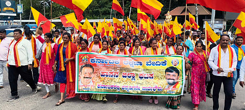 ಗಣಿಗಾರಿಕೆಗೆ ಪರವಾನಗಿ ನೀಡದಂತೆ ಆಗ್ರಹ