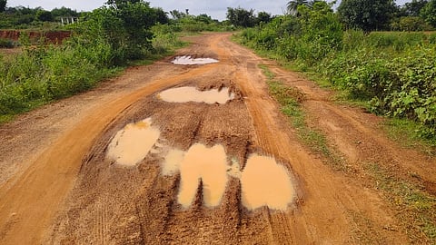 21, srinivaspur photo-1
